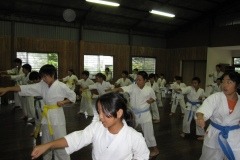 imgi_13_thumbs_IMG_0279
