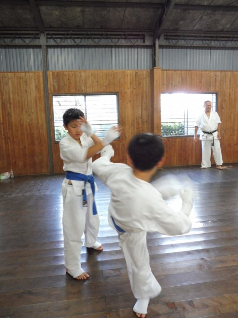 imgi_213_P1060036