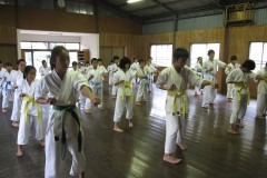 imgi_21_thumbs_IMG_7452