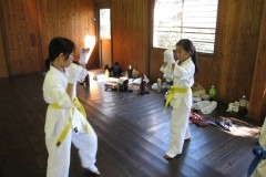 imgi_36_thumbs_IMG_4968