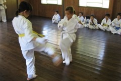 imgi_38_thumbs_IMG_4992