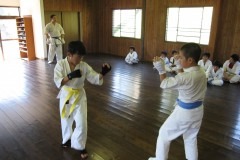 imgi_39_thumbs_IMG_5000
