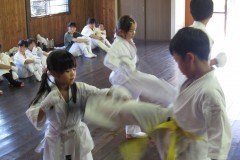 imgi_40_thumbs_IMG_5024