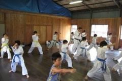 imgi_44_thumbs_IMG_367811