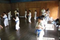 imgi_46_thumbs_IMG_369611