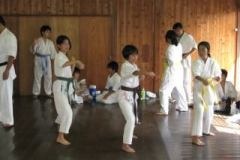 imgi_50_thumbs_IMG_377711