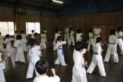 imgi_53_thumbs_IMG_380211