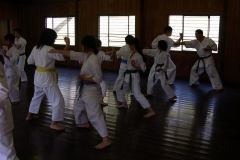 imgi_61_thumbs_DSCN108611