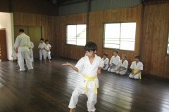 imgi_6_thumbs_IMG_0417