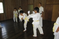 imgi_8_thumbs_IMG_0424